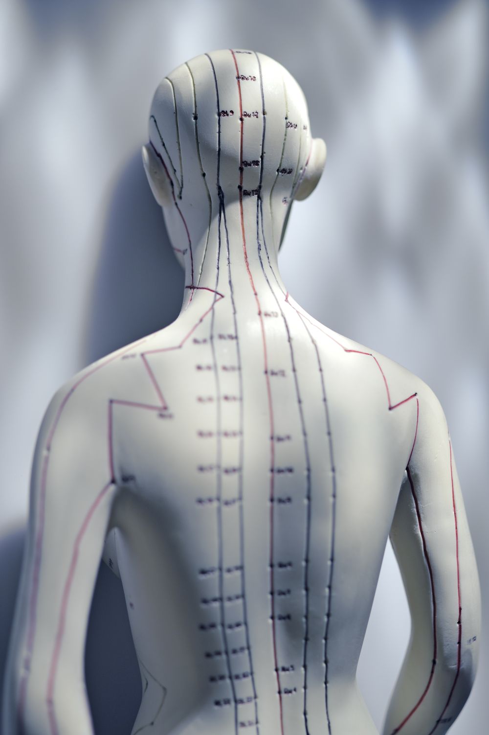 Akupuppe back Akupuppe back